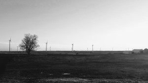 Windmills4